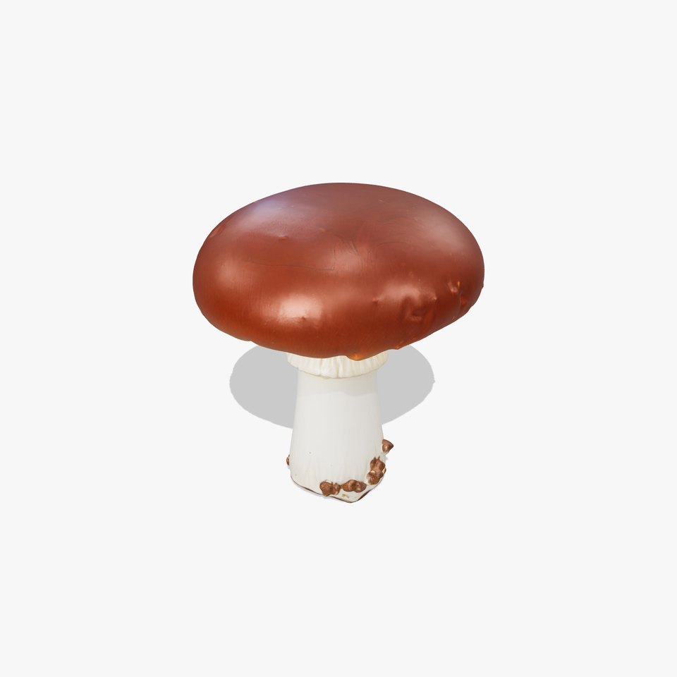 Suillus Luteus Mushroom Detailed Model Pack